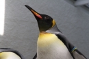 Zoo-Zuerich-26042012-Bodensee-Community_SEECHAT_DE-_42.jpg