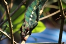 Zoo-Zuerich-26042012-Bodensee-Community_SEECHAT_DE-_83.jpg