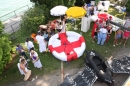 seechat_de-Ente-gut-Seehafenfliegen-Lindau-30062012-Bodensee-Community-SEECHAT_DE-IMG_9199.JPG