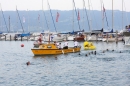 seechat_de-Ente-gut-Seehafenfliegen-Lindau-30062012-Bodensee-Community-SEECHAT_DE-IMG_9425.JPG