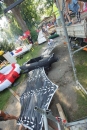 seechat_de-Ente-gut-Seehafenfliegen-Lindau-30062012-Bodensee-Community-SEECHAT_DE-_253.JPG