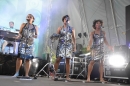 JAN-DELAY-Hohentwielfestival-2012-Singen-140712-Bodensee-Community-SEECHAT_DE-DSC_0155.JPG