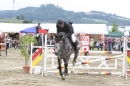 Reitturnier-Reitclub-Wahlwies-29072012-Bodensee-Community_SEECHAT_DE-IMG_3734.JPG