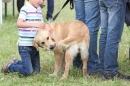 Reitturnier-Reitclub-Wahlwies-29072012-Bodensee-Community_SEECHAT_DE-IMG_4010.JPG