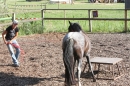 Criollos-Equitation-Hoffest-Gailingen-040812-Bodensee-Community-SEECHAT_DE-_135.JPG