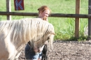 Criollos-Equitation-Hoffest-Gailingen-040812-Bodensee-Community-SEECHAT_DE-_137.JPG