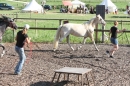 Criollos-Equitation-Hoffest-Gailingen-040812-Bodensee-Community-SEECHAT_DE-_149.JPG