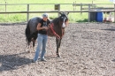 Criollos-Equitation-Hoffest-Gailingen-040812-Bodensee-Community-SEECHAT_DE-_152.JPG