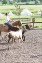 Criollos-Equitation-Hoffest-Gailingen-040812-Bodensee-Community-SEECHAT_DE-_178.JPG