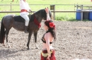 Criollos-Equitation-Hoffest-Gailingen-040812-Bodensee-Community-SEECHAT_DE-_237.JPG