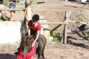 Criollos-Equitation-Hoffest-Gailingen-040812-Bodensee-Community-SEECHAT_DE-_45.JPG