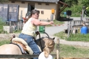 Criollos-Equitation-Hoffest-Gailingen-040812-Bodensee-Community-SEECHAT_DE-_551.JPG