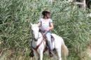 Criollos-Equitation-Hoffest-Gailingen-040812-Bodensee-Community-SEECHAT_DE-_586.JPG