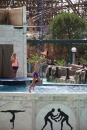 Europapark-04082012-Community-Bodensee-seechat-de_240.JPG