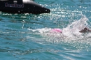Bodenseeumrundung-Kirsten-Seidel-Bodman-11082012-Bodensee-Community-SEECHAT_DE-IMG_7540.JPG