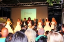 Stadtfest-Bregenz-23082012-Bodensee-Community-SEECHAT_DE-IMG_5601_1.jpg