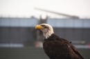 Photokina-Messe-Koeln-220912-Bodensee-Community-SEECHAT_DE-_15.jpg