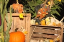 Herbstfest-PapisPumpels-Ehingen-290912-Bodensee-Community-SEECHAT_DE-IMG_1871.JPG