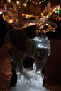 Eis-Skulpturen-Nacht-Singen-30112012-seechat-Bodensee-Community45.jpg