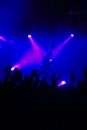 Bonaparte-Ulm-121212-Bodensee-Community-SEECHAT_DE-IMG_2944.jpg
