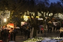 Weihnachtsmarkt-Konstanz-15122012-bodensee-community-seechat_122.jpg