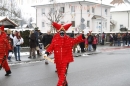 Narrentreffen-Radolfzell-20012013-bodensee-community-seechat-de_100.JPG