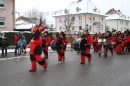 Narrentreffen-Radolfzell-20012013-bodensee-community-seechat-de_131.JPG
