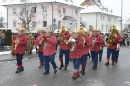 Narrentreffen-Radolfzell-20012013-bodensee-community-seechat-de_187.JPG