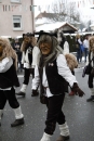 Narrentreffen-Radolfzell-20012013-bodensee-community-seechat-de_206.JPG
