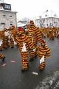 Narrentreffen-Radolfzell-20012013-bodensee-community-seechat-de_228.JPG