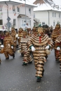 Narrentreffen-Radolfzell-20012013-bodensee-community-seechat-de_230.JPG