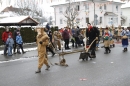 Narrentreffen-Radolfzell-20012013-bodensee-community-seechat-de_278.JPG