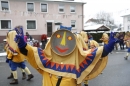 Narrentreffen-Radolfzell-20012013-bodensee-community-seechat-de_354.JPG