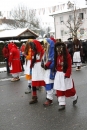 Narrentreffen-Radolfzell-20012013-bodensee-community-seechat-de_384.JPG