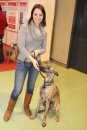Hundemesse-Winterthur-Schweiz-03022013-Bodensee-Community-SEECHAT_DE-IMG_3970.JPG