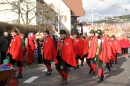 Narrentreffen-Tengen-120-Jahre-NV-Kamelia-03022013-Bodensee-Community-Seechat-de_198.JPG