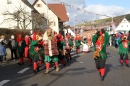 Narrentreffen-Tengen-120-Jahre-NV-Kamelia-03022013-Bodensee-Community-Seechat-de_201.JPG