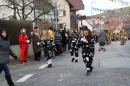 Narrentreffen-Tengen-120-Jahre-NV-Kamelia-03022013-Bodensee-Community-Seechat-de_483.JPG