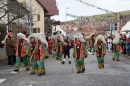 Narrentreffen-Tengen-120-Jahre-NV-Kamelia-03022013-Bodensee-Community-Seechat-de_511.JPG