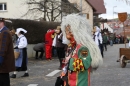 Narrentreffen-Tengen-120-Jahre-NV-Kamelia-03022013-Bodensee-Community-Seechat-de_519.JPG