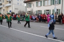 Rosenmontagsumzug-Gottmadingen-11022013-Bodensee-Community-SEECHAT_DE-IMG_6018.JPG