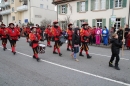 Rosenmontagsumzug-Gottmadingen-11022013-Bodensee-Community-SEECHAT_DE-IMG_6041.JPG