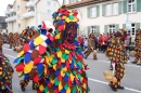 Rosenmontagsumzug-Gottmadingen-11022013-Bodensee-Community-SEECHAT_DE-IMG_6063.JPG