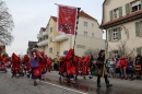 Rosenmontagsumzug-Gottmadingen-11022013-Bodensee-Community-SEECHAT_DE-IMG_6142.JPG