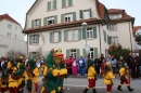 Rosenmontagsumzug-Gottmadingen-11022013-Bodensee-Community-SEECHAT_DE-IMG_6194.JPG