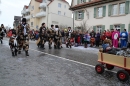 Rosenmontagsumzug-Gottmadingen-11022013-Bodensee-Community-SEECHAT_DE-IMG_6234.JPG