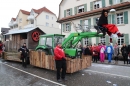 Rosenmontagsumzug-Gottmadingen-11022013-Bodensee-Community-SEECHAT_DE-IMG_6271.JPG