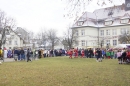 Rosenmontagsumzug-Gottmadingen-11022013-Bodensee-Community-SEECHAT_DE-_03.jpg