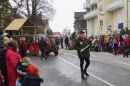 Rosenmontagsumzug-Gottmadingen-11022013-Bodensee-Community-SEECHAT_DE-_06.jpg