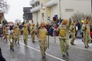Rosenmontagsumzug-Gottmadingen-11022013-Bodensee-Community-SEECHAT_DE-_07.jpg